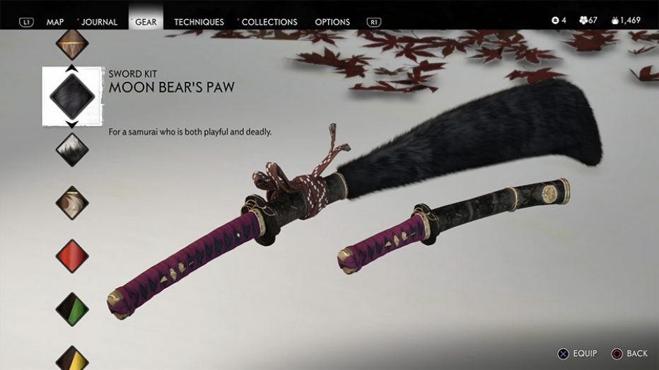 Luna-Bears-Paw.jpg