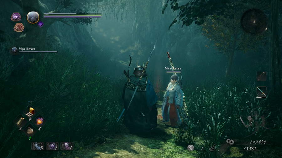 Castillo Kodama 1