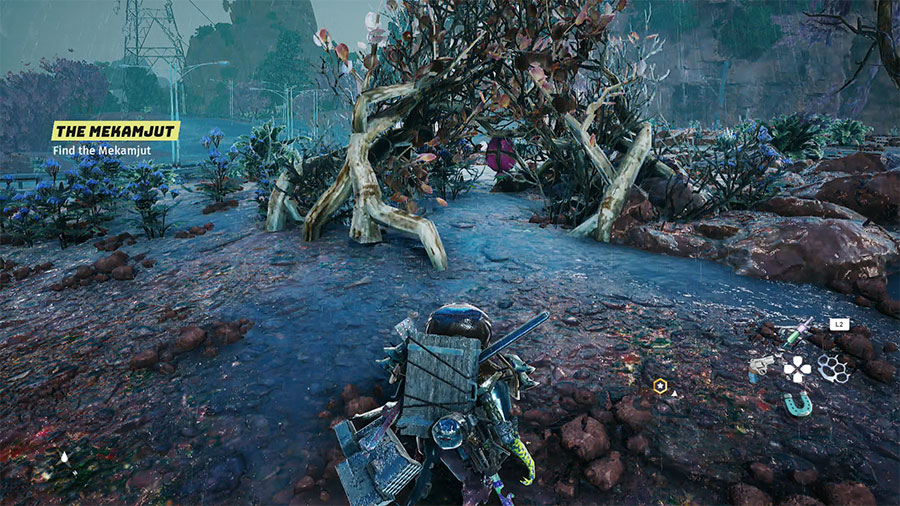 Dónde encontrar semillas de pino en Biomutant
