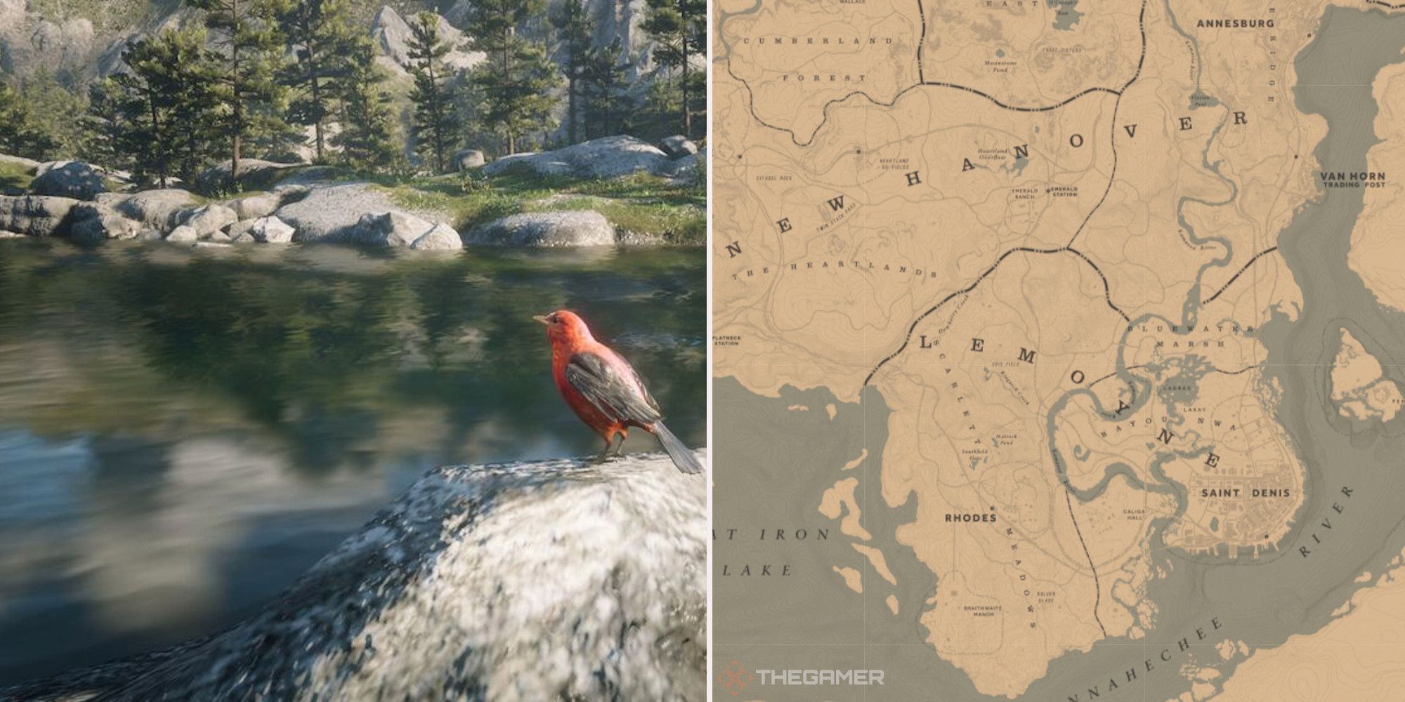 Red Dead Online: las mejores ubicaciones para la caza de pájaros cantores