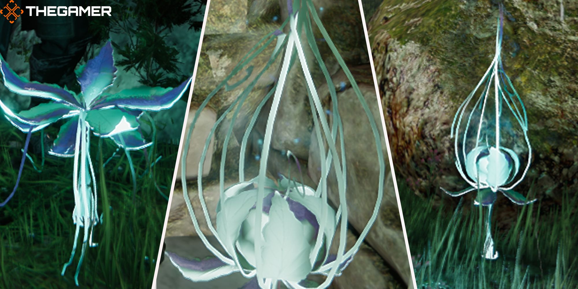 A three panel pyramid-split image featuring three different crystal fruits from Edge of Eternity.