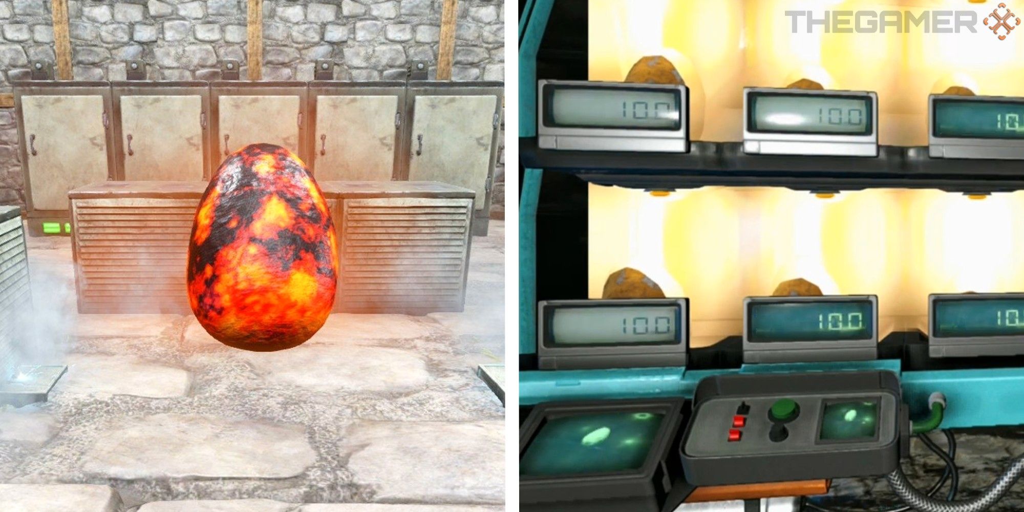 image of red egg next to image of eggs in incubator