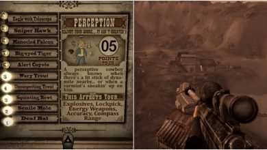 Fallout New Vegas Perception Stat And Sniper Rifle