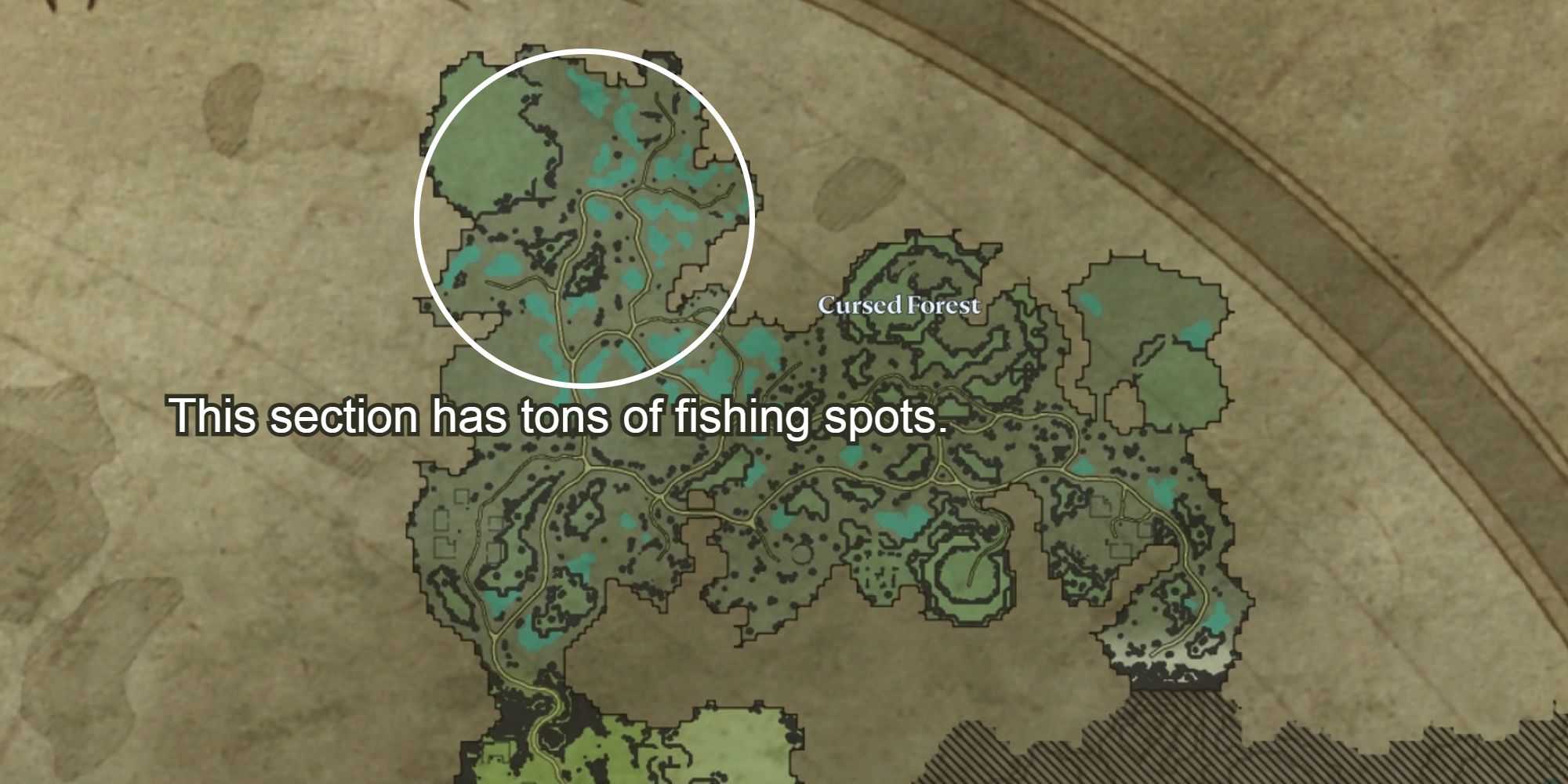 mejores lugares de pesca para el bosque maldito