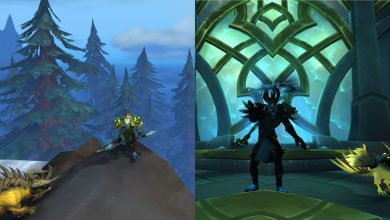 World of Warcraft split image of Survival Hunter posing by waterfall and in front of big window