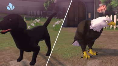Fire Emblem Engage, Complete Animal Guide Featured Image