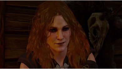 The Witcher 3: Una guía para los cuentos de un caballero