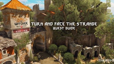 The Witcher 3 Blood And Wine: Turn And Face The Strange Quest Guide
