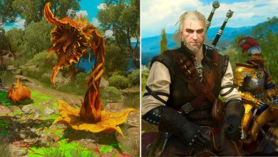 The Witcher 3: Una guía completa para la serie de misiones Wine Wars de Blood and Wine