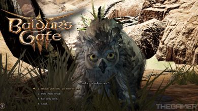 Cómo conseguir el cachorro de oso lechuza en Baldur's Gate 3