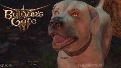 Baldur's Gate 3: How To Get Scratch The Dog