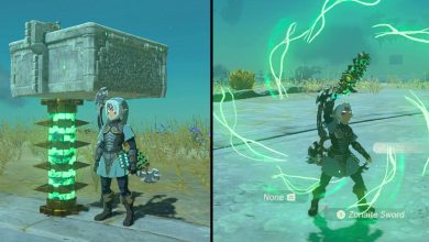 The Legend Of Zelda: Tears Of The Kingdom - Cómo cultivar núcleos de construcción Flux