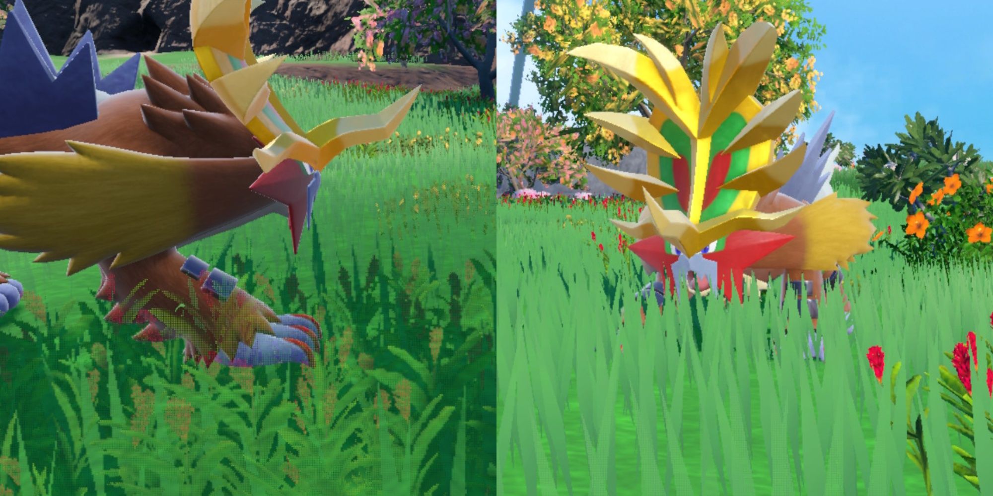 Imagen de collage de Gouging Fire caminando sobre el terrario en Pokémon Scarlet & Violet.