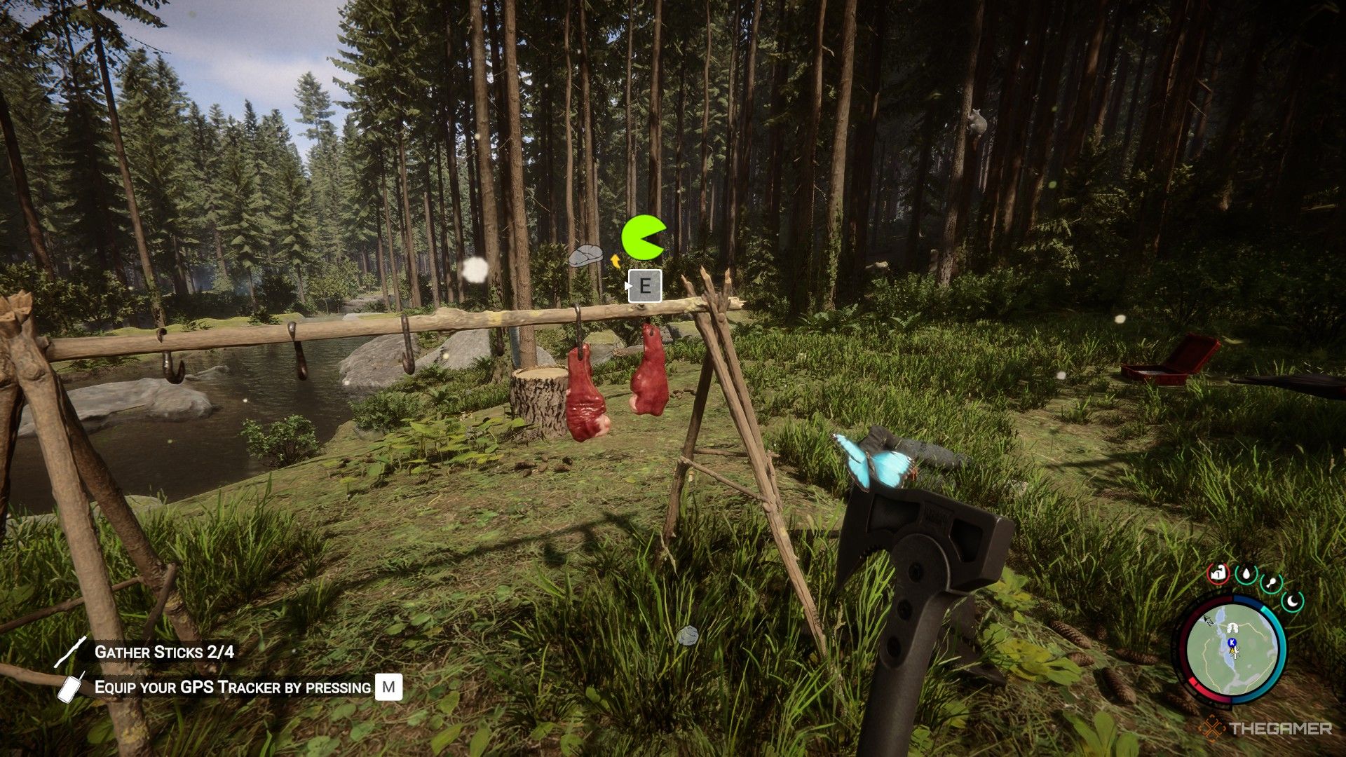 Una captura de pantalla de Sons of the Forest que muestra al personaje del jugador mirando un tendedero con dos trozos de carne mientras sostiene una pequeña hacha con una mariposa azul aterrizando en la punta.