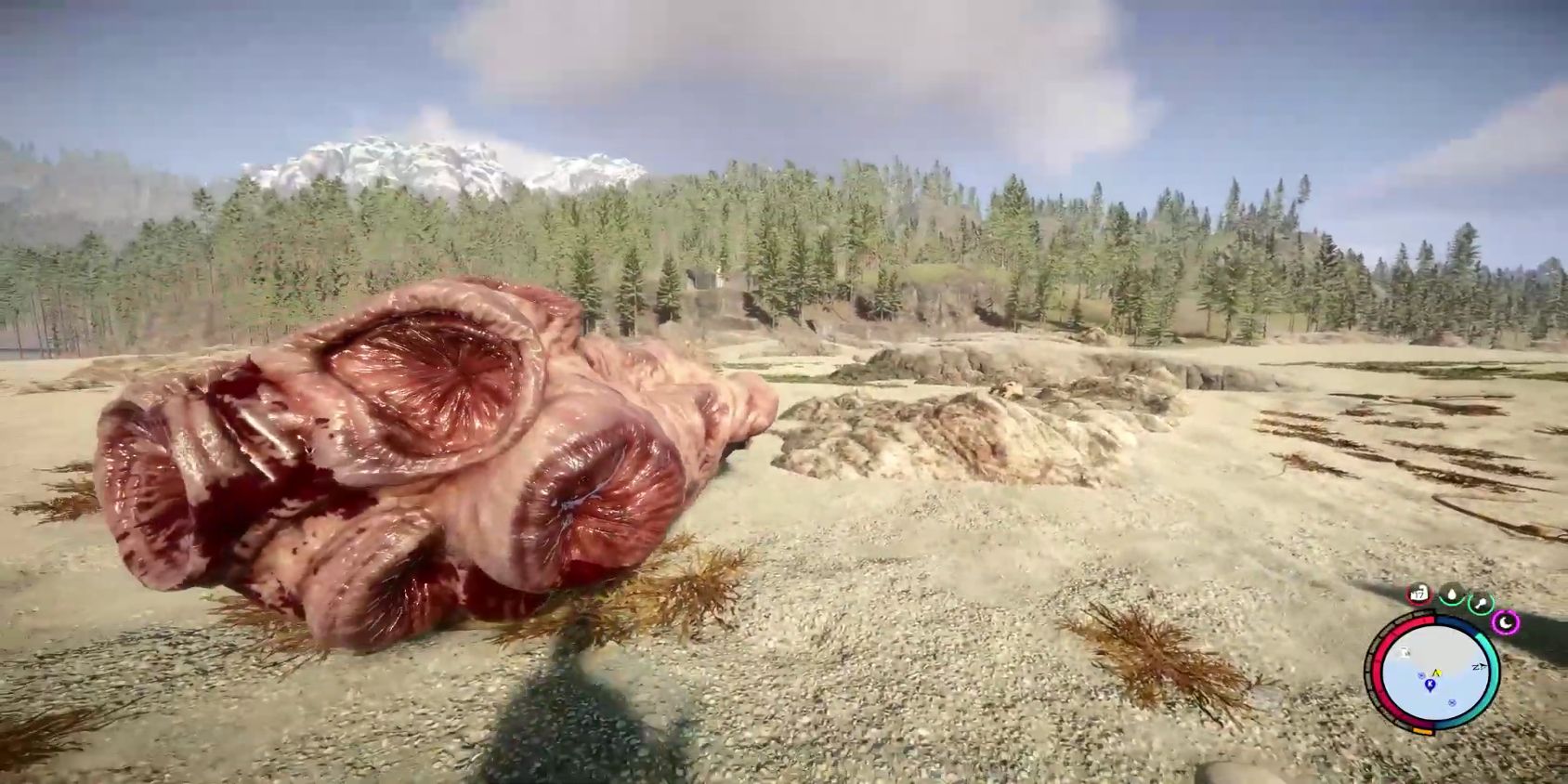 Holey tirado en el suelo de Sons of the Forest