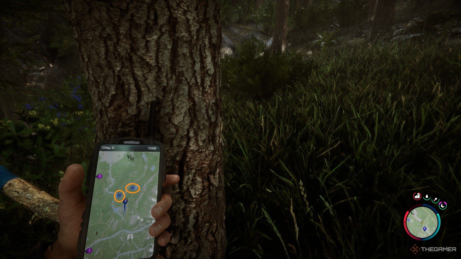 Una captura de pantalla de Sons of the Forest que muestra al personaje del jugador mirando el mapa con círculos naranjas resaltando los volantes azules.