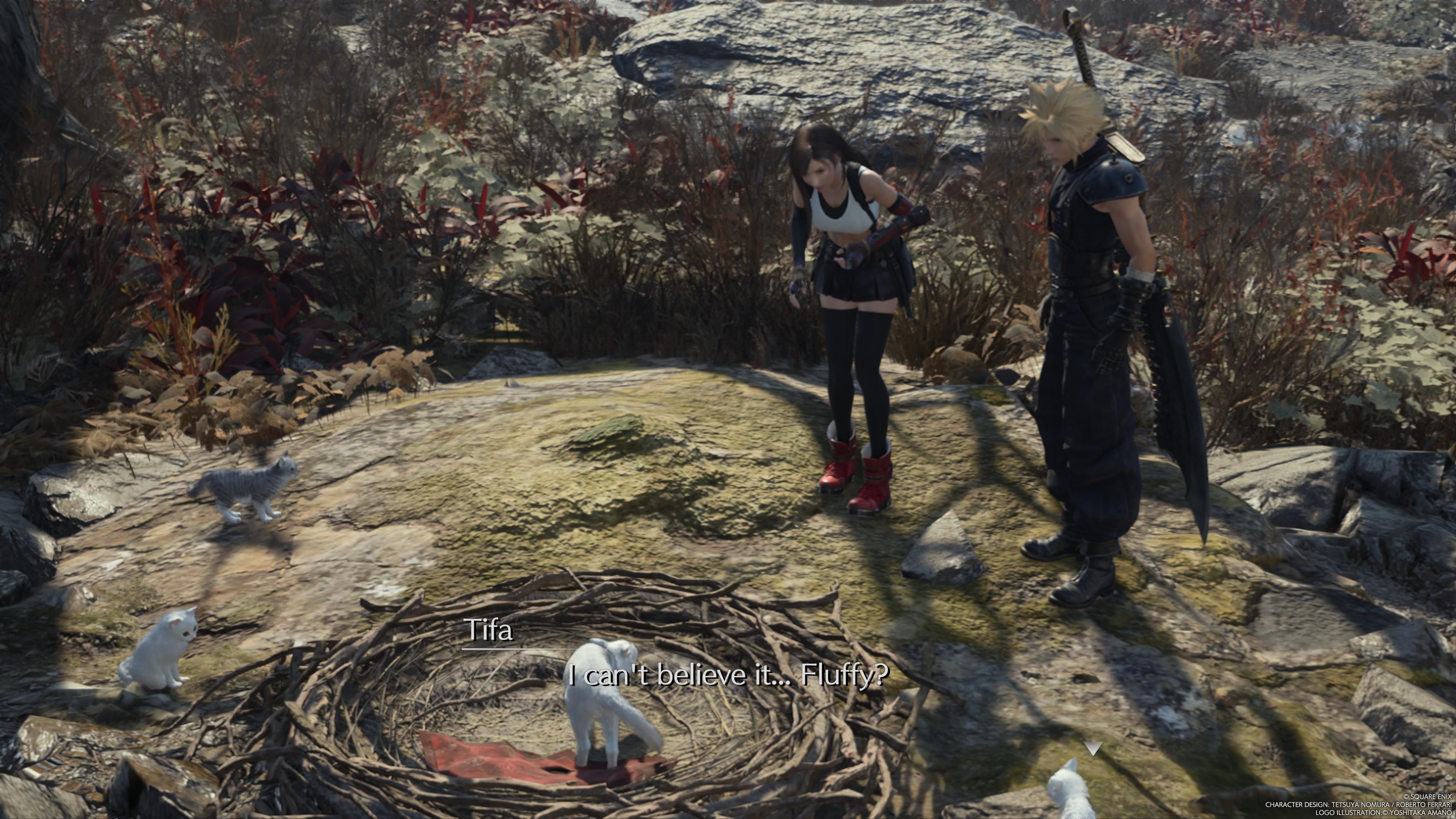 Cloud y Tifa miran a la gata y a su gatito - FF7 Rebirth
