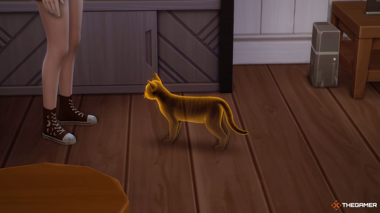 Un gato fantasma con un brillo naranja en Sims 4