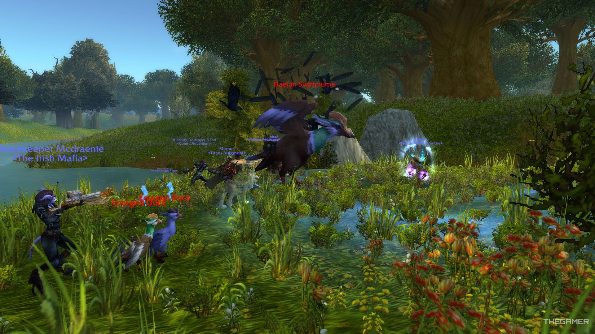 Luchando contra Daetan Swiftplume en el bosque de Elwynn.