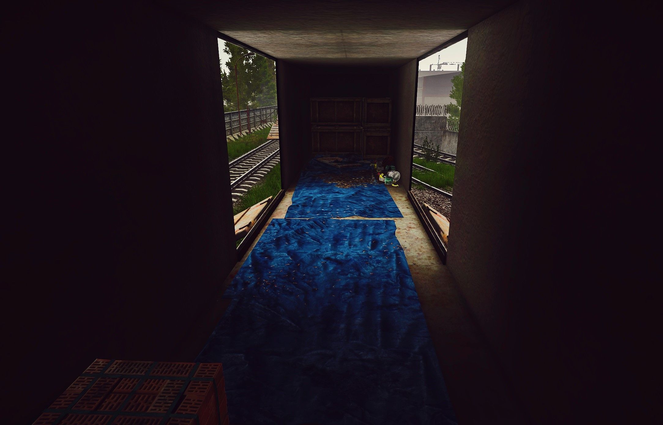 Vista de Tarkov dentro de un vagón de tren