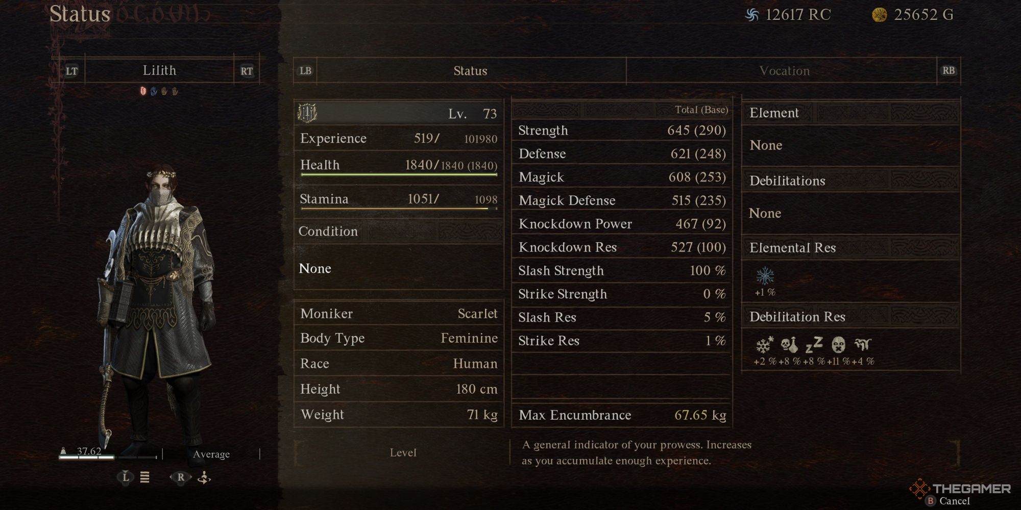 Hoja de personaje de mitad del juego de Dragon's Dogma 2 Warfarer