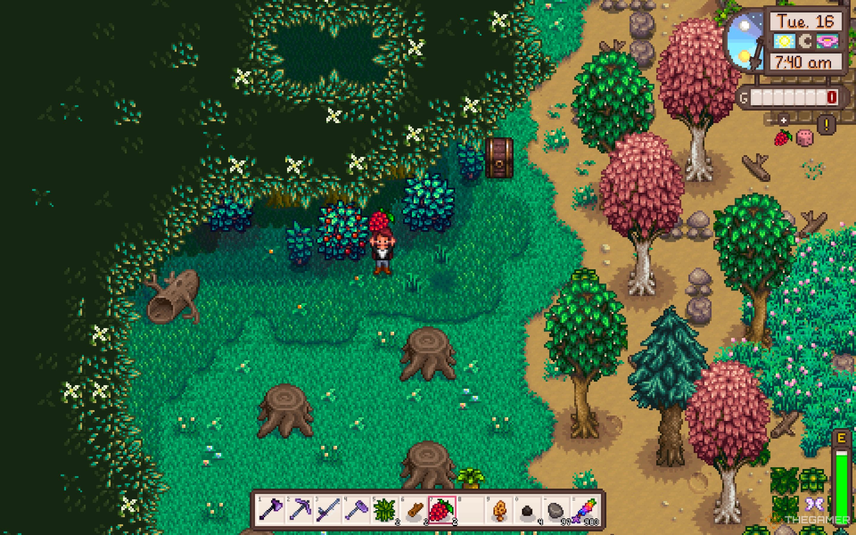 Granjero de Stardew Valley sosteniendo Salmonberry, de pie junto a un arbusto de bayas