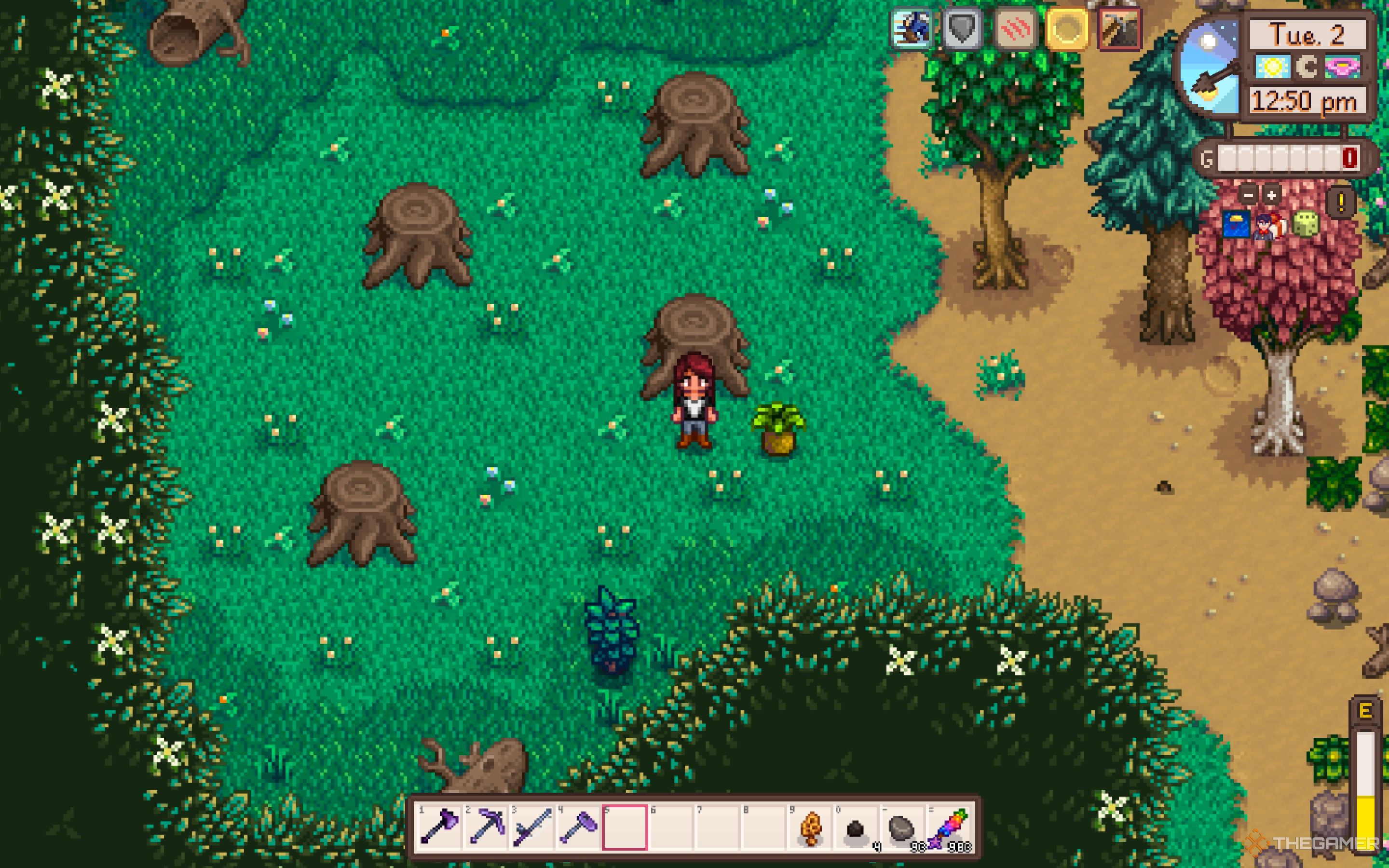 Granjero de Stardew Valley parado frente a tocones de madera y junto a rábano picante silvestre