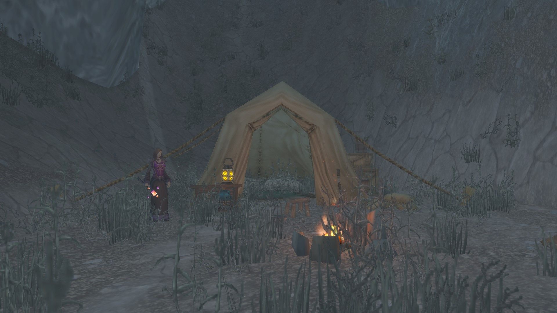 un agente humano de dalaran en el campamento de ariden en el paso del viento muerto