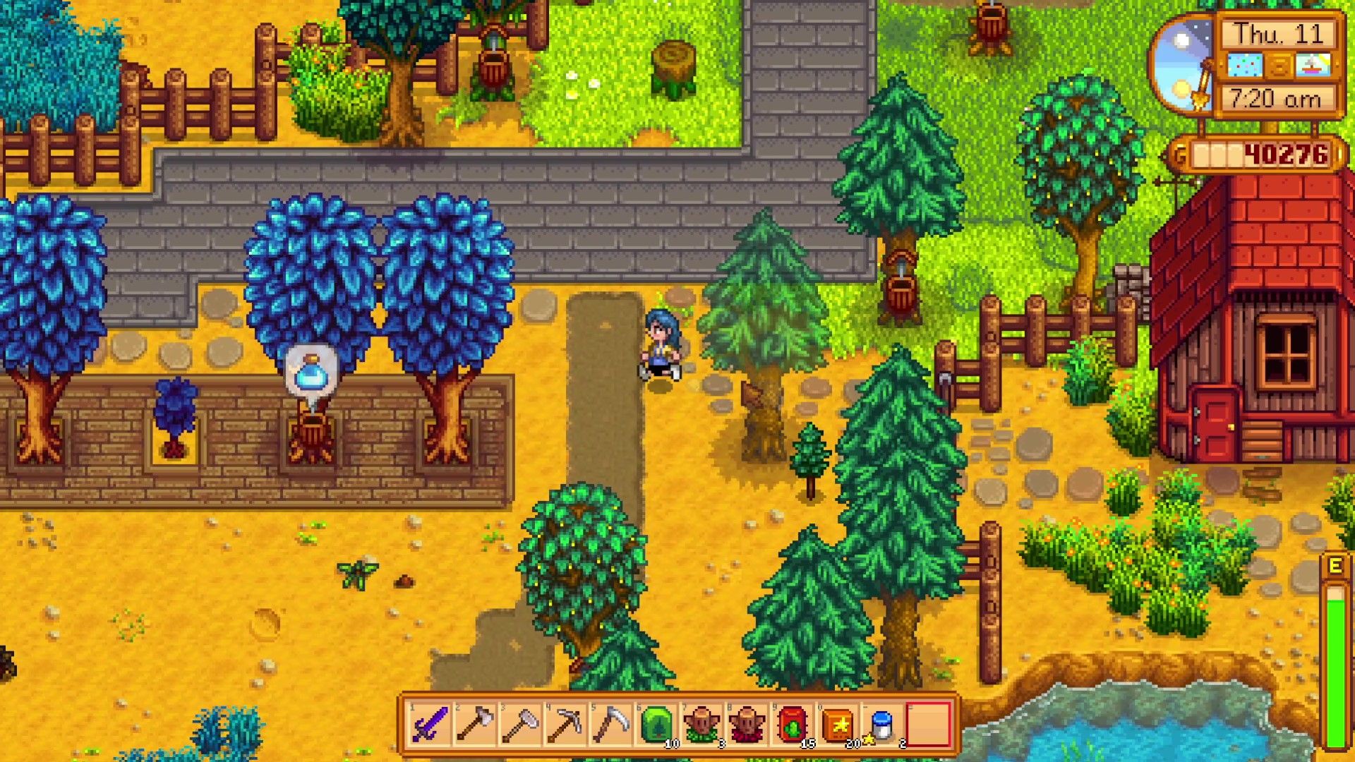 Un jugador corriendo hacia una hilera de Árboles Místicos en Stardew Valley.