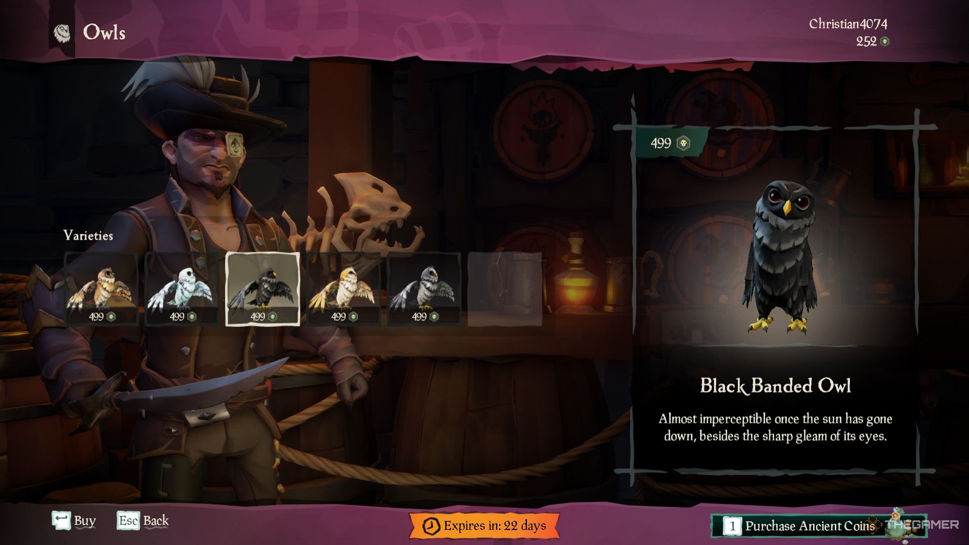 Una captura de pantalla de Sea of ​​Thieves que muestra las seis variaciones de Búho en la tienda en marrón, blanco, negro, amarillo y gris.  Cada uno cuesta 499 monedas antiguas.
