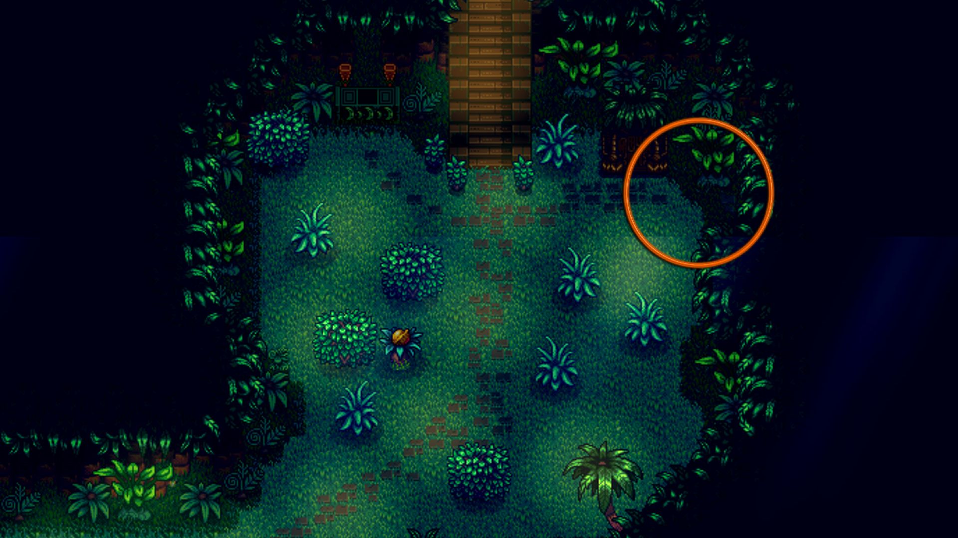 Entrada al área de aves gemas de Stardew Valley