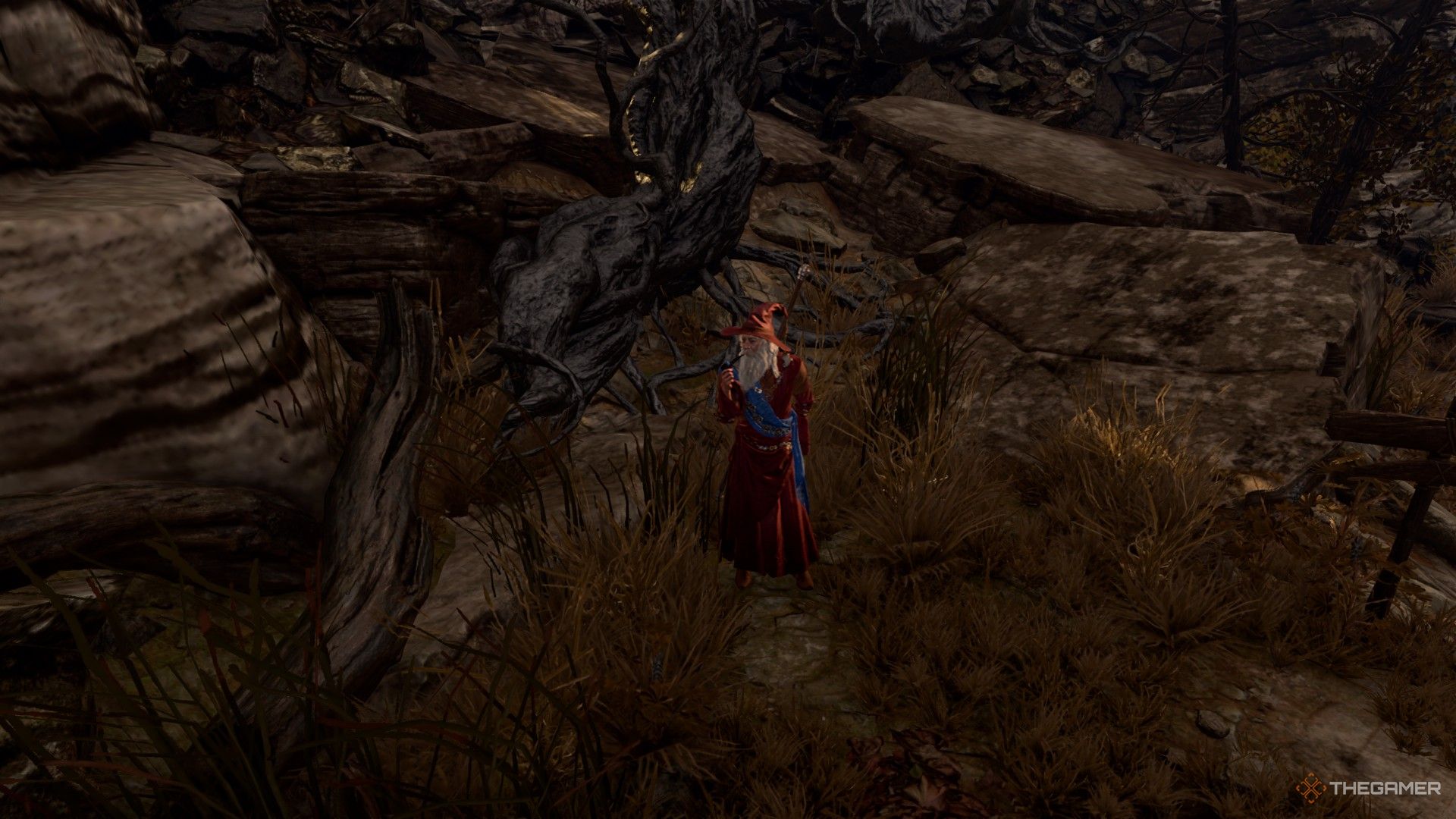 Un viejo mago con túnica roja parado cerca de un árbol muerto en Baldur's Gate 3.