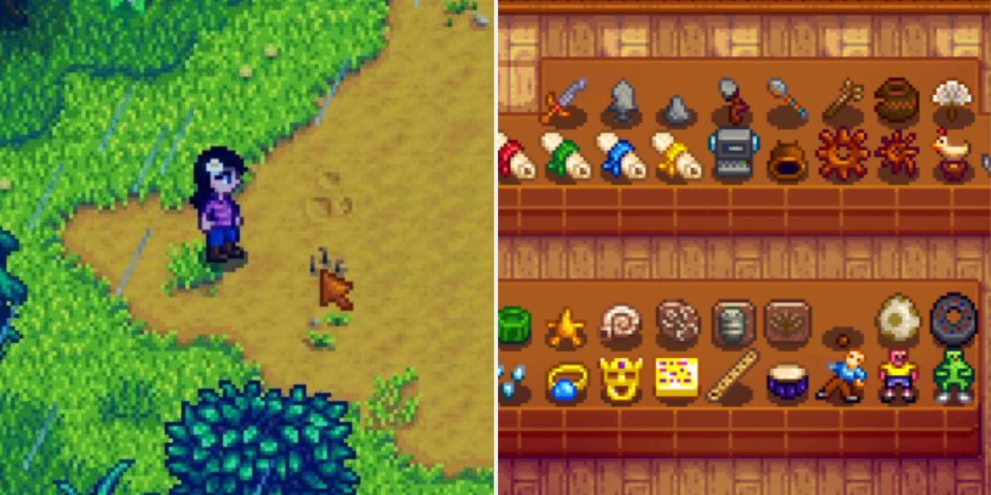 Lugar de excavación de artefactos de Stardew Valley y artefactos en exhibición en el museo