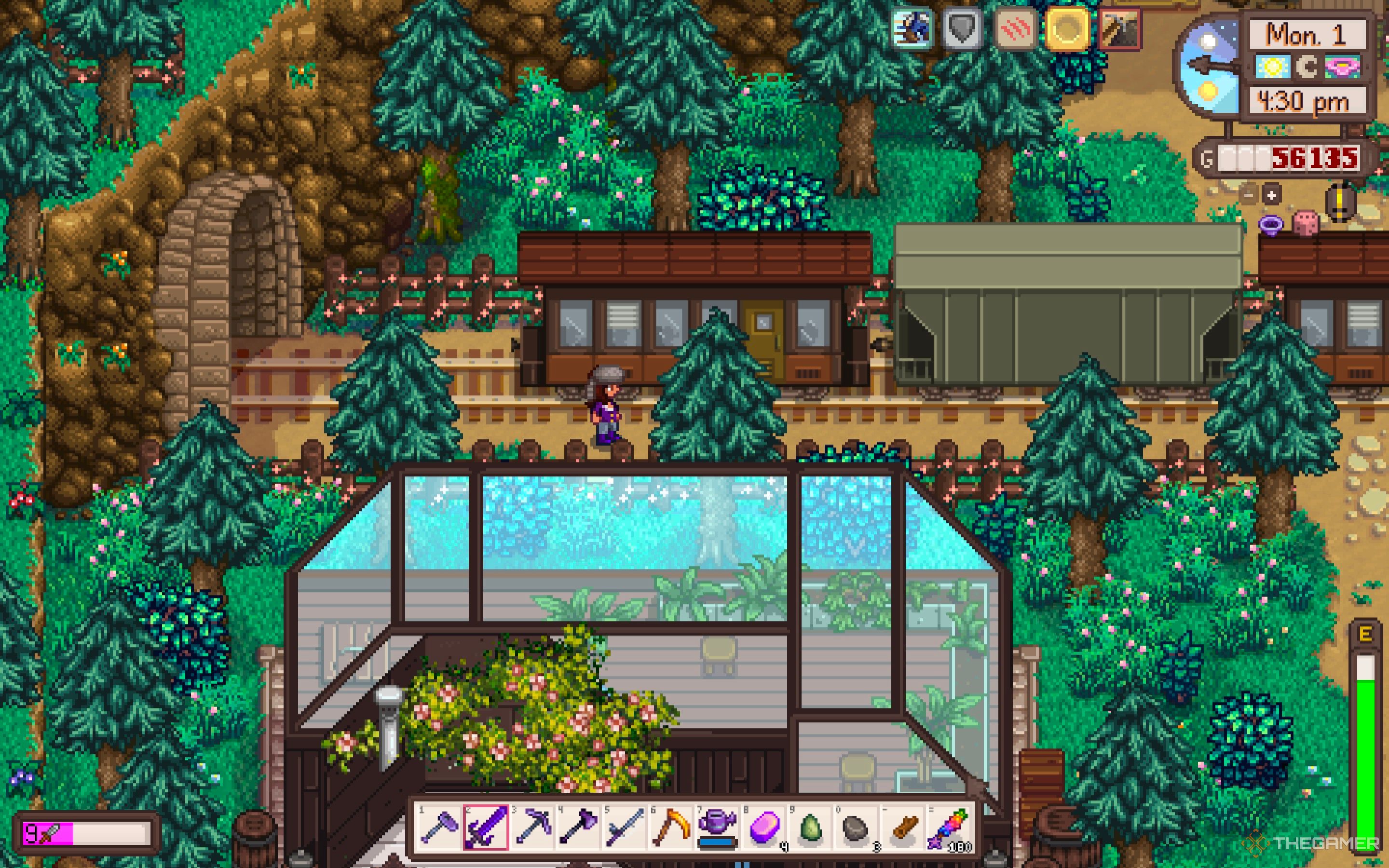 Stardew Valley Farmer en el furgón de cola del tren, justo encima del spa