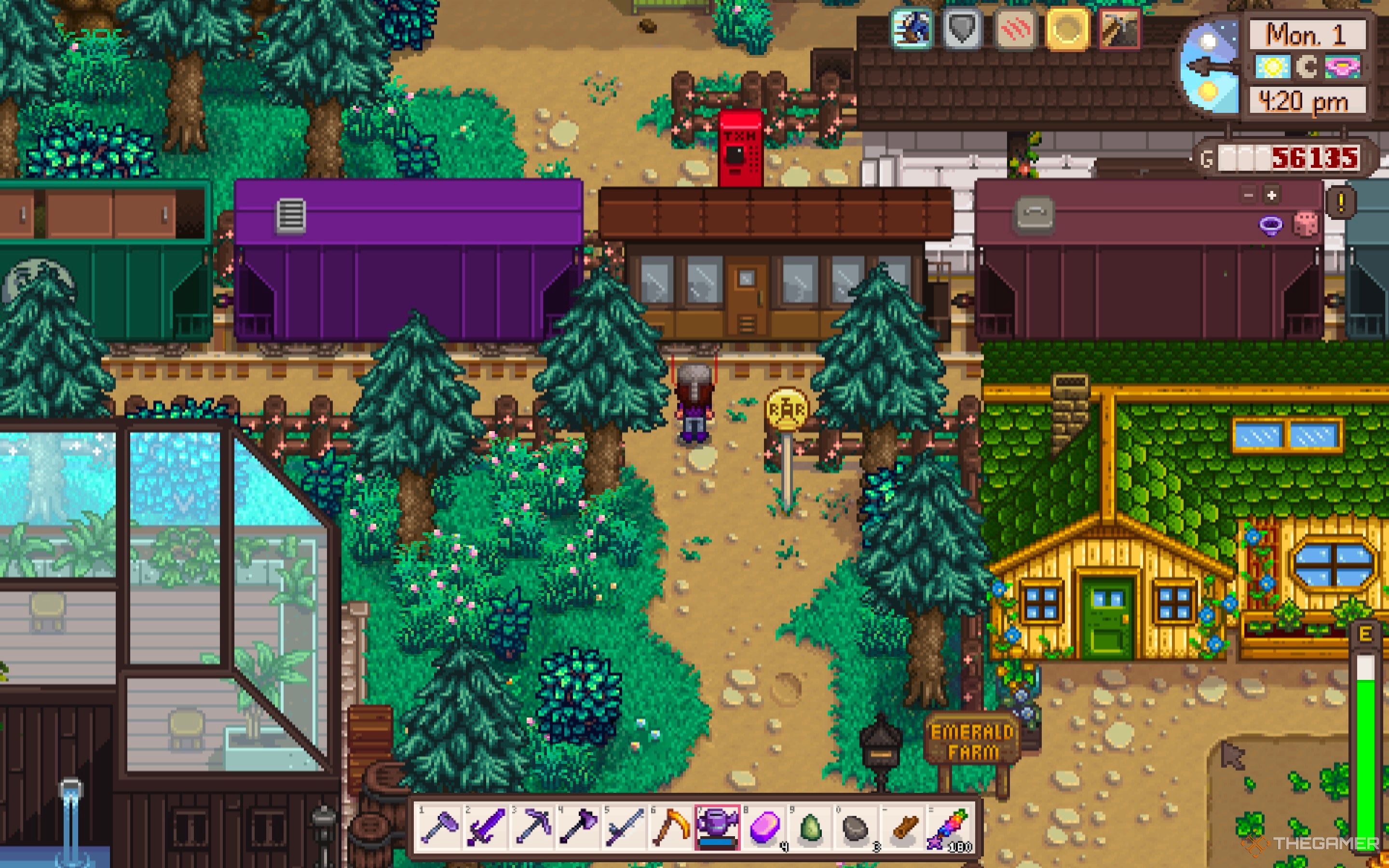 Granjero de Stardew Valley parado frente al tren mientras pasa