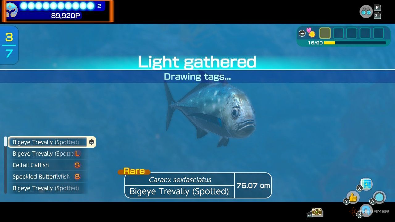 El pez Endless Ocean Luminous se muestra con una notificación cerca de la parte superior de la imagen que dice "Luz reunida" y debajo, en fuente más pequeña, "Etiquetas de dibujo".