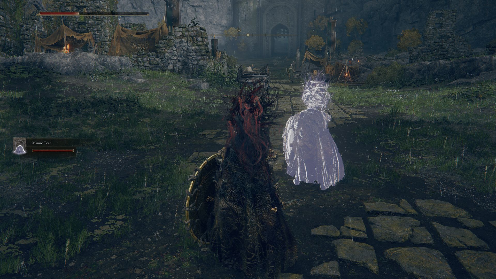The Tarnished usa Mimic Tear Ashes en Elden Ring.