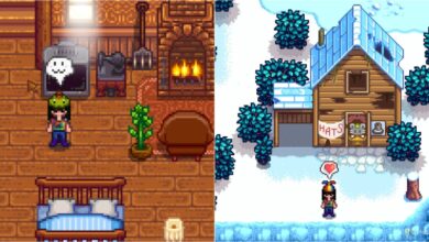 Stardew Valley: Cómo conseguir todos los sombreros