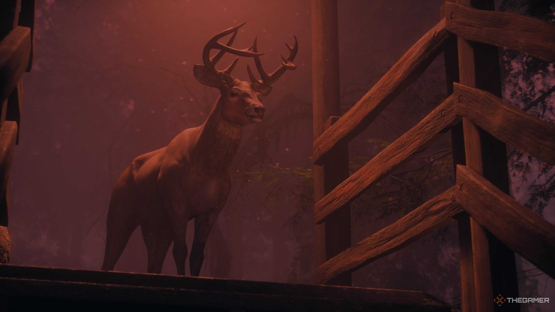 El ciervo que guía a Rose en Alan Wake 2 Night Springs Number One Fan