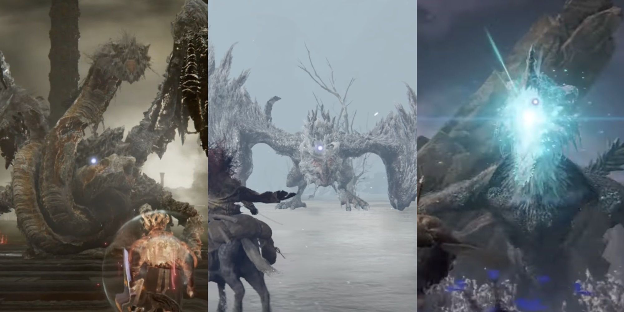 El señor dragón Placidusax domina a los Tarnished.  Borealis, The Freezing Fog emerge de su escondite.  Glintstone Dragon Smarag prepara un aliento mortal de Glintstone.