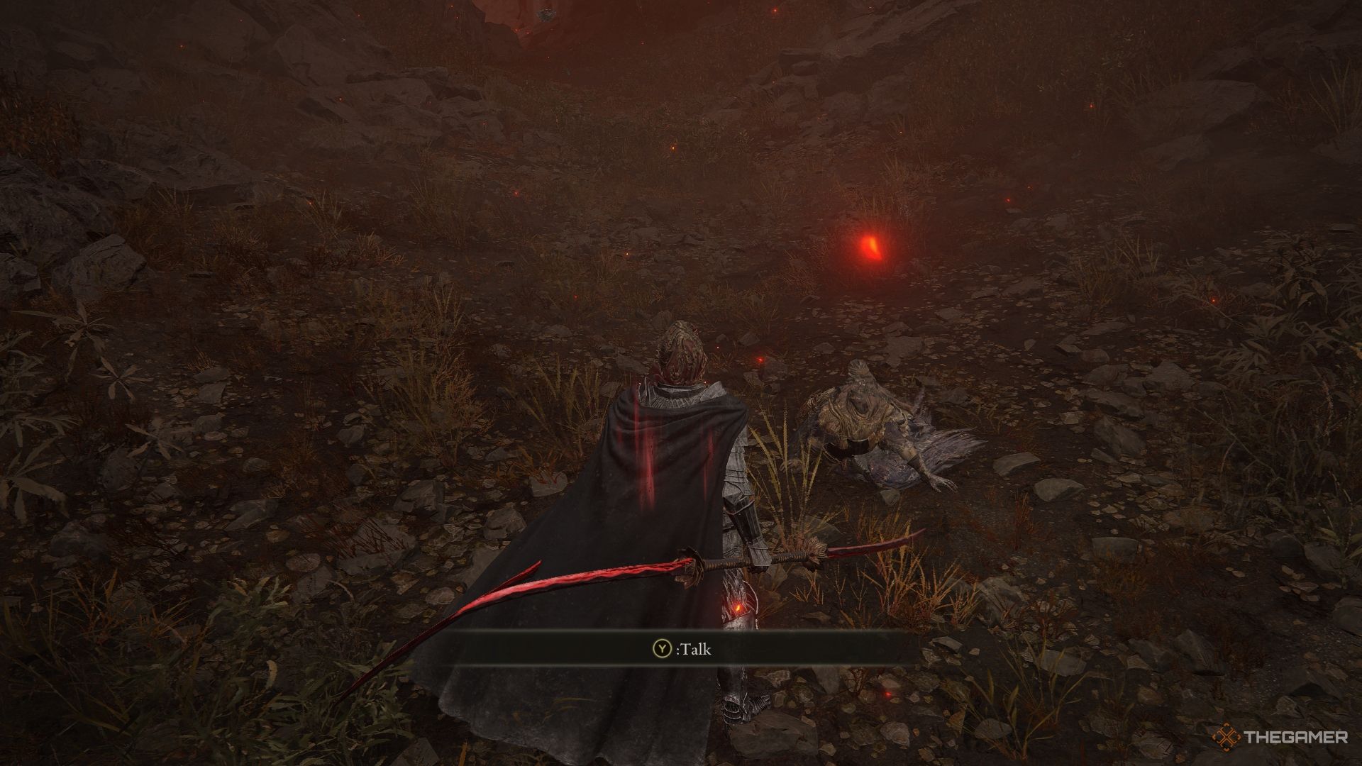 Igon y un Deslustrado en Elden Ring La Sombra del Erdtree.