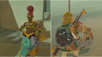 Breath Of The Wild Searching For Barta Featured Split Image