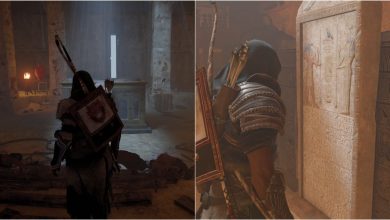 Assassin's Creed Origins Ancient Tombs Featured Split Image