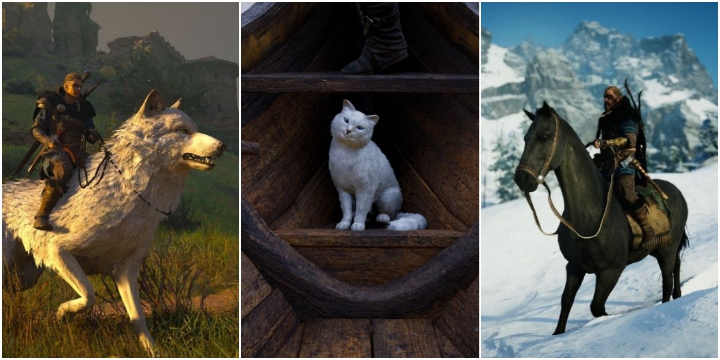 Feature Image for animal companions in Assassin's Creed Valhalla