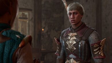Baldur's Gate 3: Cómo manejar a los paladines de Tyr