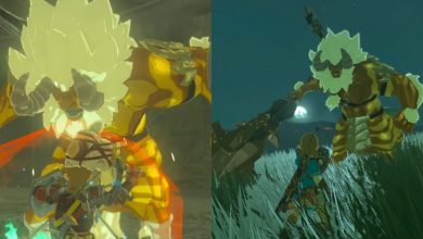 Split image of Link fighting Golden Lynels in Breath of the Wild.