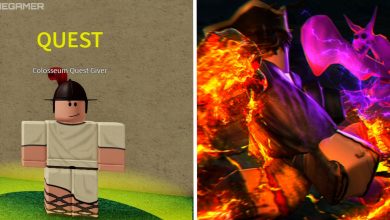 image of quest giver next to image of promotional art for blox fruits