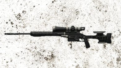MW2 SP-X 80 build Feature Image