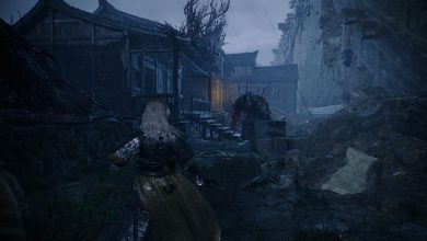 Wo Long: Fallen Dynasty - main character stands before a demon about to fight