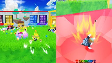 Anime Fly Race Codes And Hub